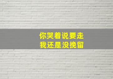 你哭着说要走 我还是没挽留